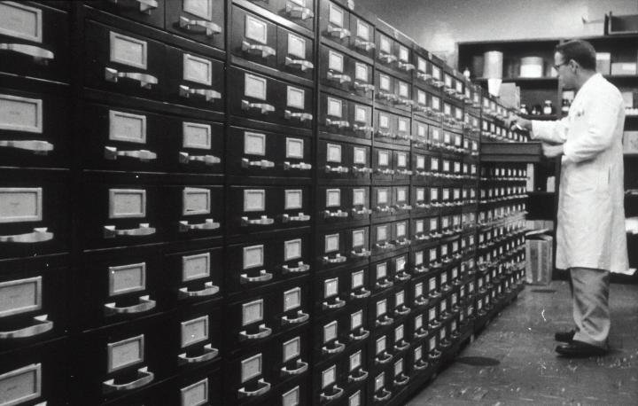 Huge array of filing cabinets